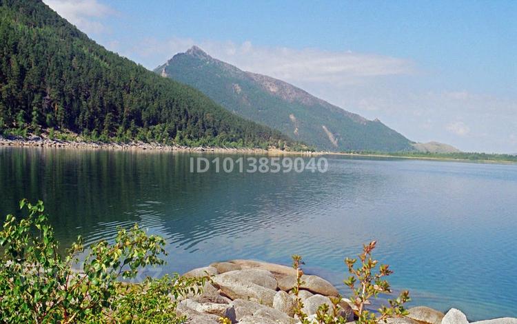 Жер телімі · 10 сотық, Молбаза, бағасы: 4.5 млн ₸ в Бурабае — фото 7