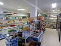 Магазины и бутики · 50 м² за 100 000 ₸ в Батыре — фото 5