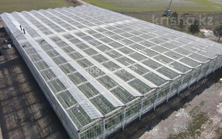 Сельское хозяйство • 3600 м² за 559 млн 〒 в Тонкерисе — фото 3