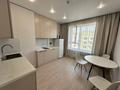1-комнатная квартира · 37 м² · 7/9 этаж, Туркестан 115 за 250 000 ₸ в Алматы, Турксибский р-н — фото 3