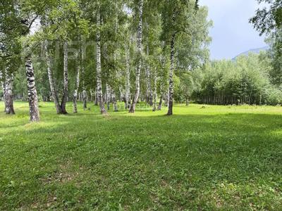 Участок · 28 соток, Нет — ДКМ за 40 млн ₸ в 