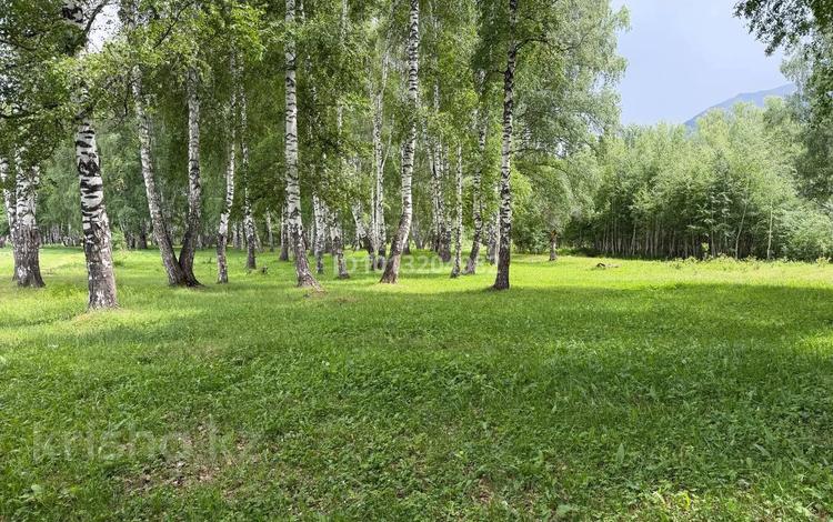 Участок · 28 соток, Нет — ДКМ за 40 млн ₸ в  — фото 2