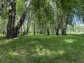 Участок · 28 соток, Нет — ДКМ за 40 млн ₸ в  — фото 3