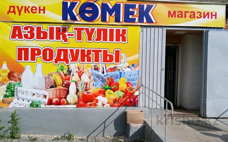 Еркін · 53 м², бағасы: 25 млн ₸ в Кокшетау — фото 14