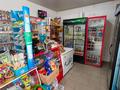 Магазин · 60 м² за 30.7 млн ₸ в Талдыкоргане, мкр Достык — фото 6