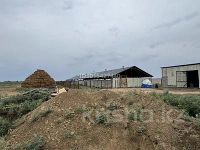 Участок · 3 га, Қызыл қазак 1 за 80 млн ₸ в 