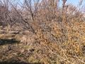 Отдельный дом · 4 комнаты · 80 м² · 6 сот., 4 линия 102 — ПКСТ снабженец улица 4 линия дом 102 за 7 млн ₸ в Алатау — фото 13