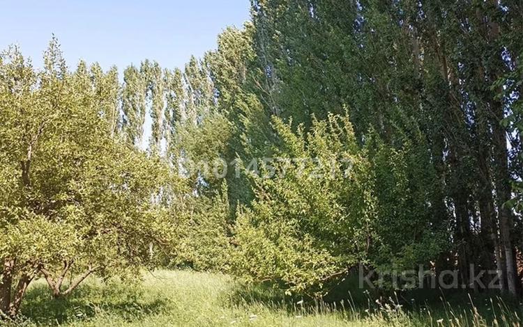 Жер телімі · 20 сотық, Әмірхан Керімханов, бағасы: 15 млн ₸ в Тасарыке — фото 2