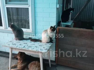 Часть дома · 3 комнаты · 83 м² · 5 сот., Пр. Сейфуллина — Стадион "Аллаш". за 57 млн ₸ в Алматы, Турксибский р-н