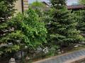 Отдельный дом · 5 комнат · 400 м² · 4.5 сот., мкр Михайловка , Жанибекова 92/4 за 299 млн ₸ в Караганде, Казыбек би р-н — фото 19