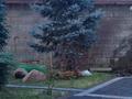 Отдельный дом · 5 комнат · 400 м² · 4.5 сот., мкр Михайловка , Жанибекова 92/4 за 299 млн ₸ в Караганде, Казыбек би р-н — фото 3
