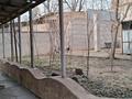 Жеке үй · 4 бөлме · 200 м² · 8 жүзд., Курмангазы 15, бағасы: 50 млн ₸ в Шымкенте, Аль-Фарабийский р-н — фото 6