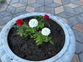 4-бөлмелі пәтер · 125 м² · 3/5 қабат, Ак. Маргулана 356, бағасы: 93 млн ₸ в Павлодаре — фото 29