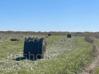 Участок · 238 га, Акколь за 280 млн 〒