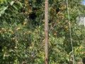Отдельный дом · 4 комнаты · 140 м² · 8.5 сот., Ск актюбсельмаш-1 12 — Малышка районы. за 29 млн ₸ в Актобе — фото 33