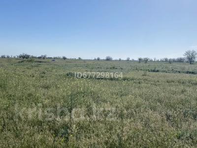 Жер телімі · 10 га, Құйған, бағасы: 13 млн ₸ в Куйгане