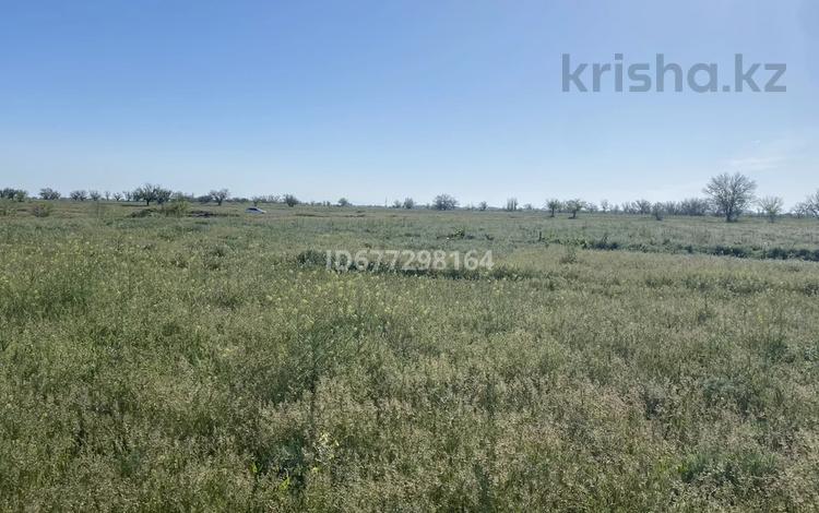 Жер телімі · 10 га, Құйған, бағасы: 13 млн ₸ в Куйгане — фото 9
