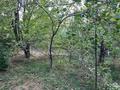 Саяжай · 2 бөлме · 10 м² · 8 жүзд., Набержная, бағасы: 4 млн ₸ в  — фото 4