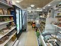 Магазины и бутики · 167 м² за 165 млн ₸ в Усть-Каменогорске — фото 10