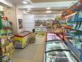 Магазины и бутики · 167 м² за 165 млн ₸ в Усть-Каменогорске — фото 8