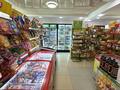 Магазины и бутики · 167 м² за 165 млн ₸ в Усть-Каменогорске — фото 9