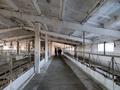 Крестьянское хозяйство · 6500 м², бағасы: 250 млн ₸ в Павлодаре — фото 11