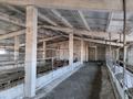 Крестьянское хозяйство · 6500 м², бағасы: 250 млн ₸ в Павлодаре — фото 12