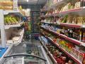 Магазины и бутики · 78 м² за 300 000 ₸ в Астане, Алматы р-н — фото 6