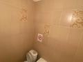 1-бөлмелі пәтер · 20 м² · 3/5 қабат, Мусрепова 7/2 — Абылай хана, бағасы: 8 000 ₸ в Астане, Алматы р-н — фото 3