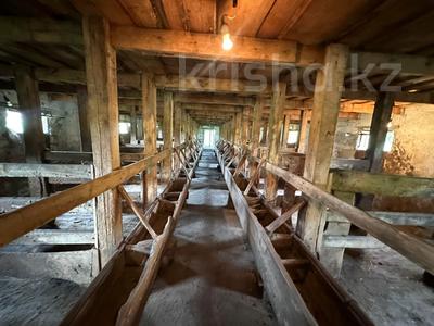Откормочная база на 45 голов КРС · 300 м², бағасы: 21 млн ₸ в Прапорщикове