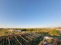 Участок · 5 га, Жаналык (Талгарский район) за 150 млн ₸ — фото 3