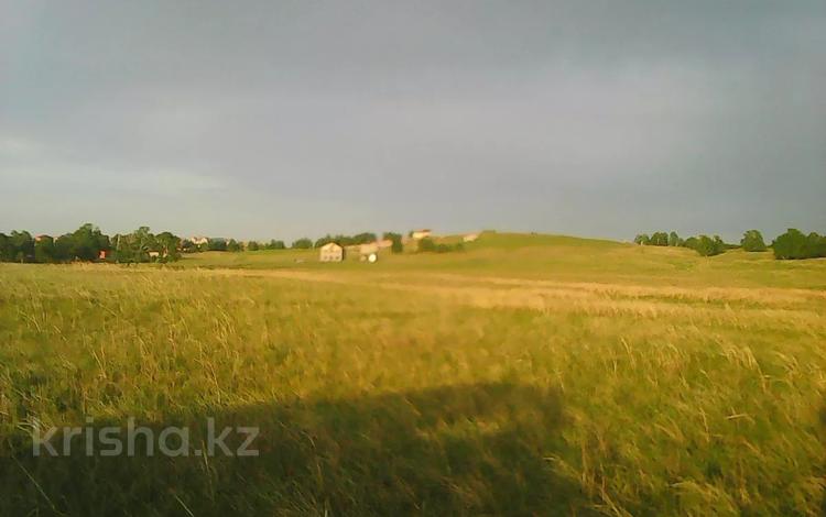 Участок · 10 соток, Мол база 7 линия за 4.5 млн ₸ в Щучинске — фото 2