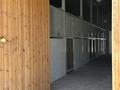 Действующая конная ферма 14 га| 30 ахалтекинских лошадей · 260 м² за ~ 1 млрд ₸ в Умбетали — фото 6