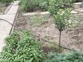 Отдельный дом · 3 комнаты · 90 м² · 5 сот., Ауэзова 14 — Кичикова за 28 млн ₸ в  — фото 3