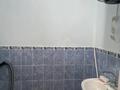 Жеке үй · 8 бөлме · 250 м² · 10 жүзд., Сейткасыма Жунисова 32, бағасы: 48 млн ₸ в  — фото 18