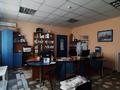 Фармацевтическая компания · 304 м² за 150 млн ₸ в Павлодаре — фото 4