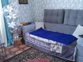 Отдельный дом · 2 комнаты · 57 м² · 25 сот., Целинная 62/1 — На главной улице за 13 млн ₸ в Семеновке — фото 3