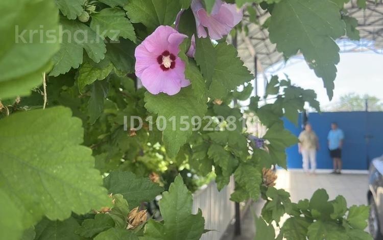 Жеке үй · 3 бөлме · 70 м² · 5 жүзд., Циалковского 36, бағасы: 180 000 ₸ в Шымкенте, Аль-Фарабийский р-н — фото 2