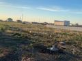 Участок · 9 соток, 2 -я — Республика Улы дала косшы за 12.5 млн ₸ в Косшы — фото 3