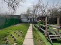 Отдельный дом · 7 комнат · 500 м² · 13 сот., мкр Тепличный б/н за 320 млн ₸ в Алматы, Ауэзовский р-н — фото 5
