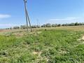 Сельское хозяйство • 10 м² за 10 000 〒 в Алатау