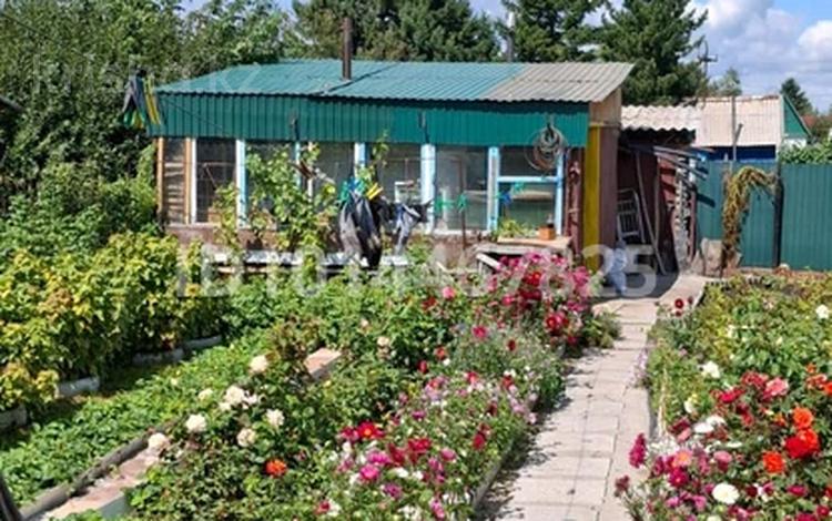 Саяжай · 3 бөлме · 50 м² · 5 жүзд., Алтайский садовод 2 201 — Остановка Прохладная, бағасы: 4 млн ₸ в Усть-Каменогорске, Ульбинский — фото 2