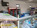 Дүкендер мен бутиктер · 180 м², бағасы: 75 млн ₸ в Аскара Токпанова (Казцик) — фото 8