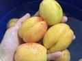 Үйдің бір бөлігі · 6 бөлме · 219 м² · 6 жүзд., 3 квартал 37/1 — 14 км, ТД Ильяс, магазин Ақтілек, бағасы: 38 млн ₸ в  — фото 38