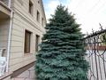 Отдельный дом · 8 комнат · 608 м² · 11.8 сот., Толеу Алдиярова за 220 млн ₸ в Актобе — фото 4