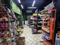 Магазины и бутики · 174 м² за 175 млн ₸ в Астане, Алматы р-н — фото 3