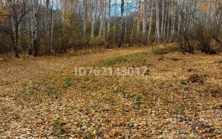 Часть дома · 3 комнаты · 70 м² · 7 сот., Высоковольтная 173 — ул керемет за 14 млн ₸ в Усть-Каменогорске — фото 3