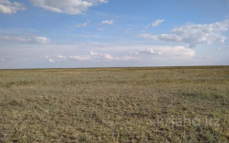 Жер телімі · 837 га, Актогайский район, Разумовский сельский округ, село Андриановка (Акжол), бағасы: ~ 7.8 млн ₸ в Павлодарской обл. — фото 2