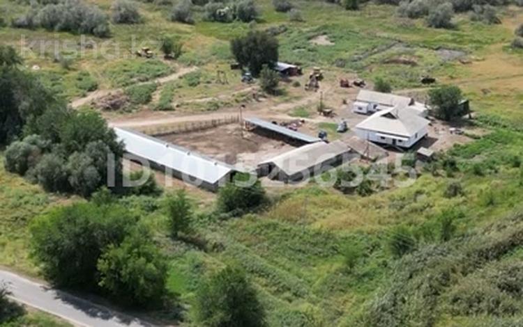 Жер телімі · 68 га, Кальпе — Село кальпе Караталский район, бағасы: 165 млн ₸ в Балпыке Би — фото 9