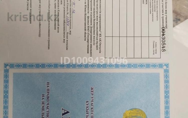 Жер телімі · 8 сотық, Сәуле ш/а 634/1, бағасы: 15 млн ₸ в Шымкенте, Аль-Фарабийский р-н — фото 2